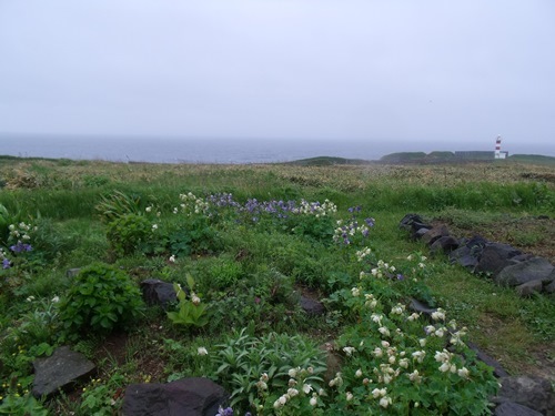 c0017802_19352310.jpg