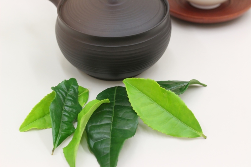暮らしに素敵な日本茶を! 6月_b0220318_04092714.jpg