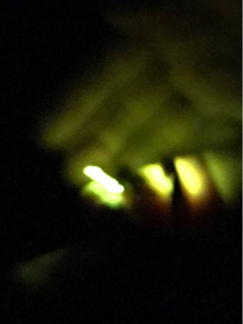 f0236736_20493918.jpg