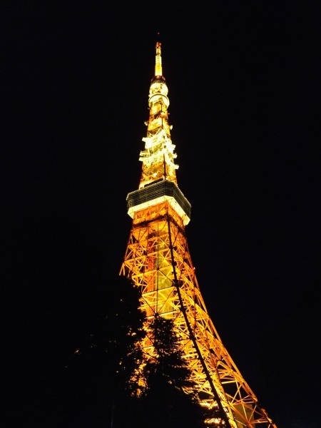 東京タワーとゴジラとガトーショコラ_a0103940_05511026.jpg