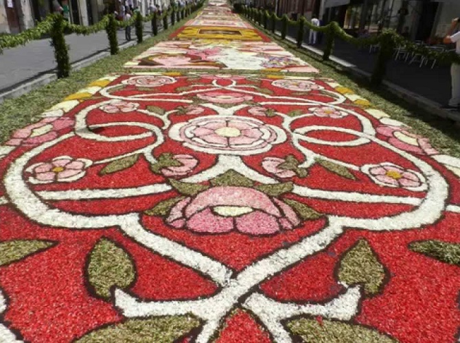 Infiorata di Genzano di Roma（ローマの町、ジェンツァーノの花祭り）_f0172744_1371117.jpg