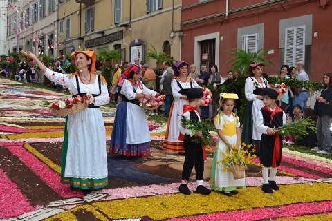 Infiorata di Genzano di Roma（ローマの町、ジェンツァーノの花祭り）_f0172744_138036.jpg