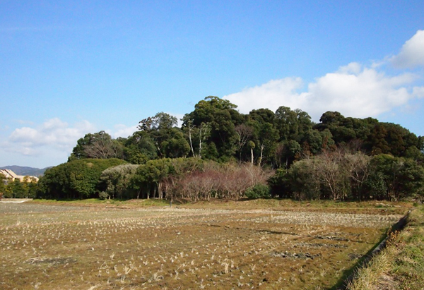 大阪探索プロローグ　　～細川屋敷跡から真田丸跡地を歩く（１）_f0140054_17484397.jpg