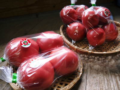樹上完熟朝採りトマト大好評発売中!トマトらしい本来の美味さです!さらに中玉トマトも販売します!_a0254656_18453058.jpg