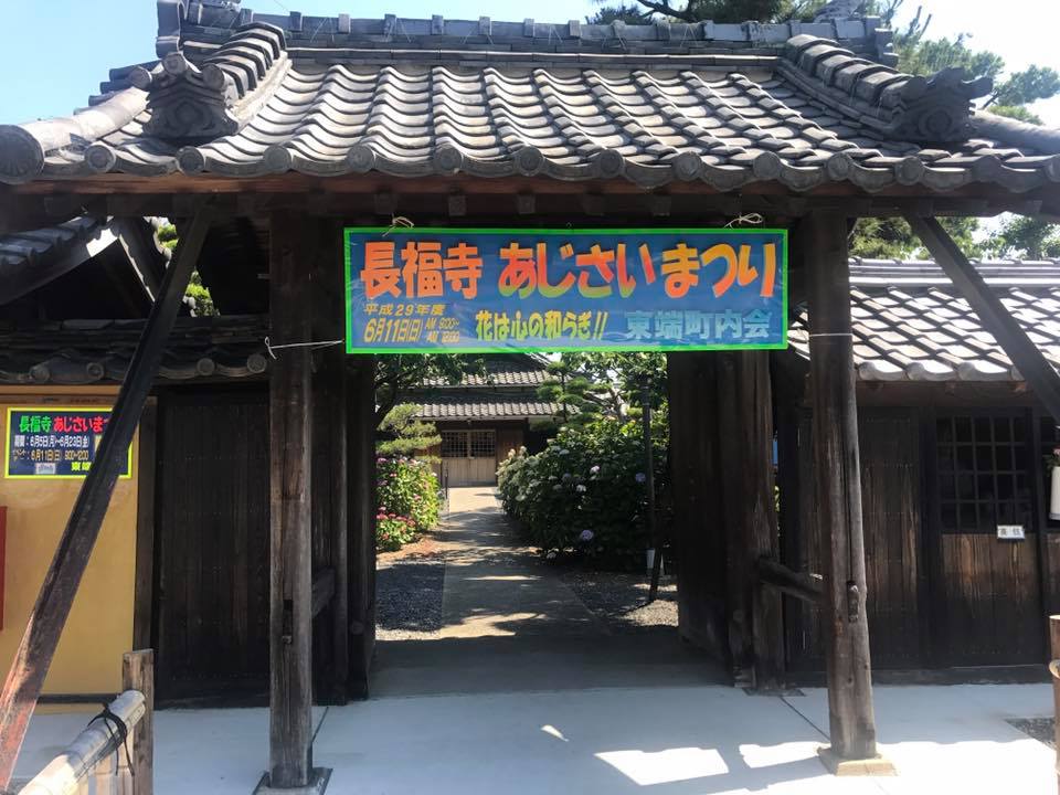 碧南 油が淵→安城 長福寺 お花めぐり_f0109257_8463447.jpg