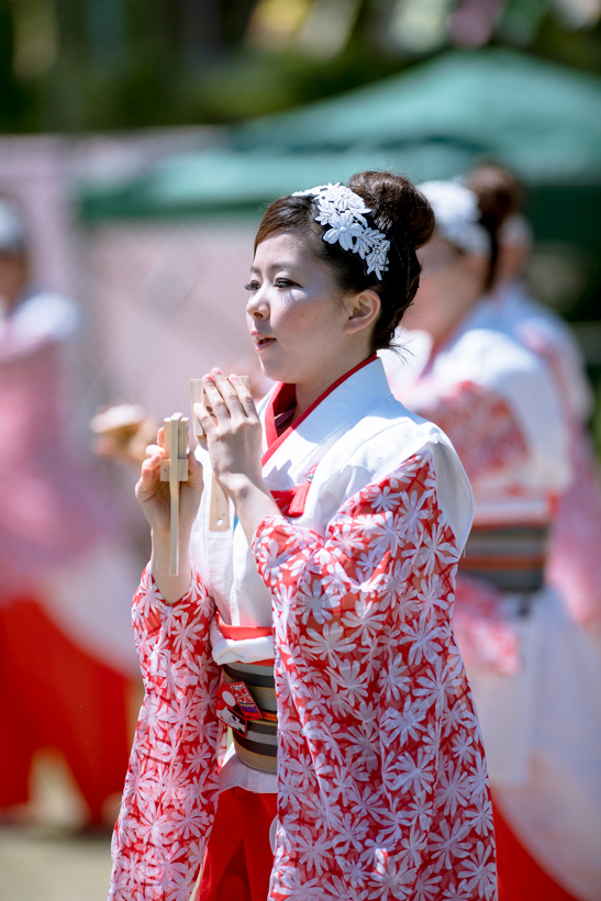 能登よさこい祭り2017　舞士道_f0184198_17244700.jpg