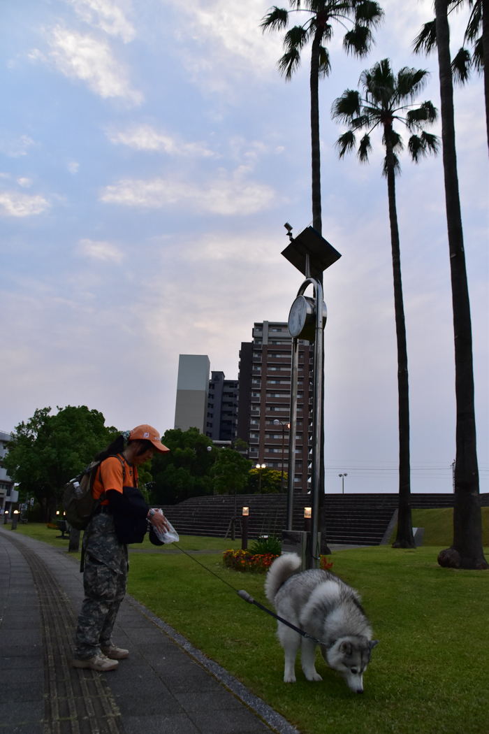 c0049299_22211155.jpg