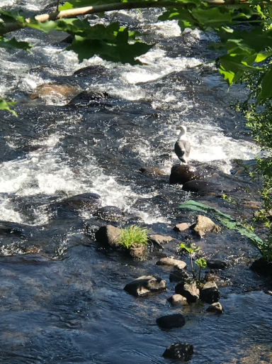 懐かしの北海道_f0101201_20172369.jpg