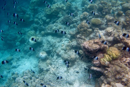 e0338303_12595712.jpg