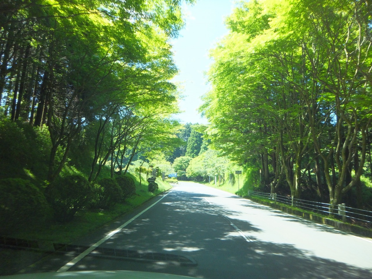 京都ドライブ～１．琵琶湖・比叡山～_f0008005_18253725.jpg