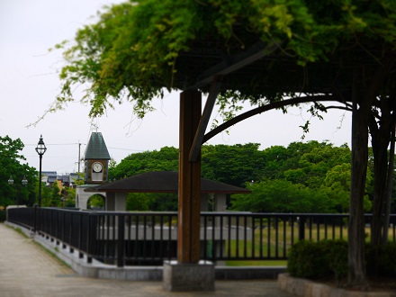 雨の公園。。。_b0125808_21251014.jpg