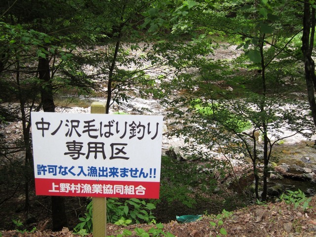 神流川　中ノ沢毛ばり釣り専用区_f0137709_15265431.jpg