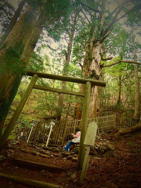 熊野古道 大峯奥駈道 女子旅 2017 day3 平治ノ宿〜玉置神社　ご接待の心に触れる_b0183911_10483986.jpg