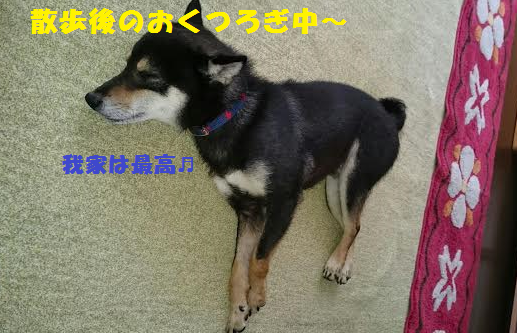 f0121712_21534629.png