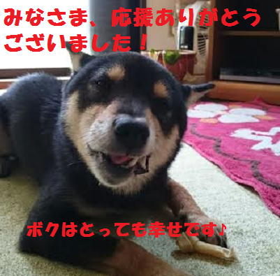 f0121712_22073719.png