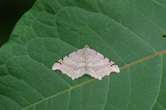 c0152317_17230821.jpg