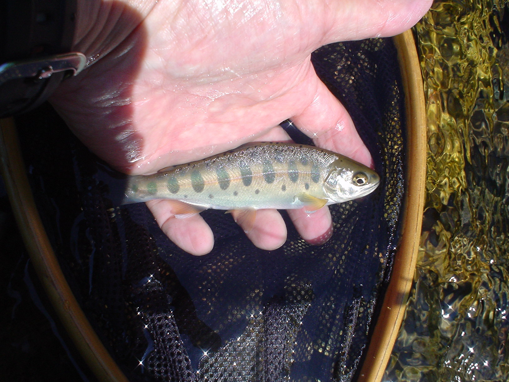 f0280717_18314265.jpg