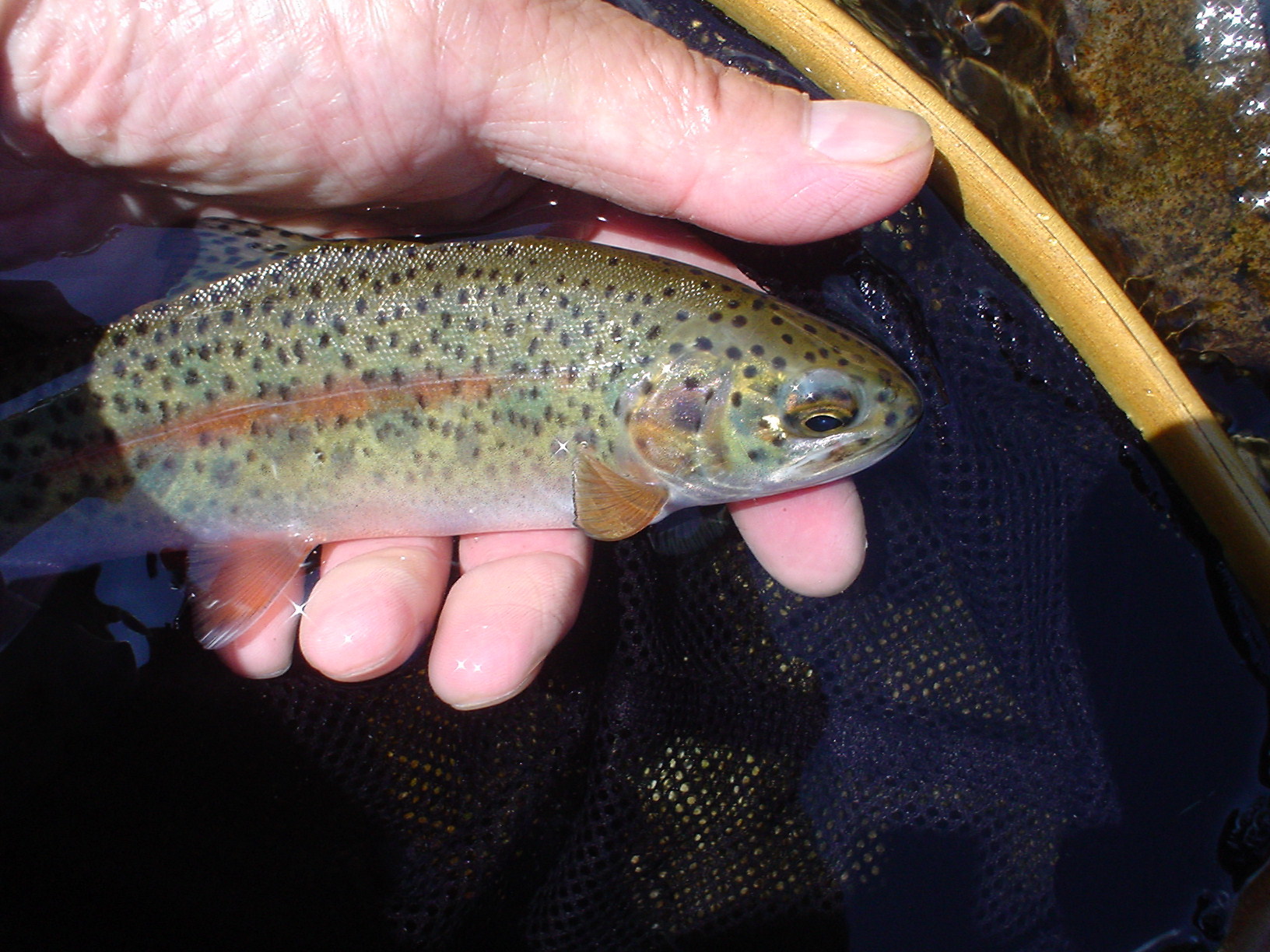 f0280717_18342579.jpg