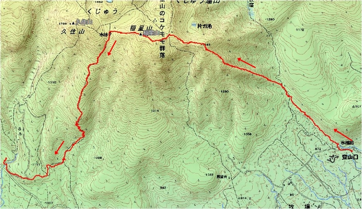 f0193521_8291483.jpg