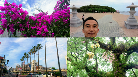 b0207632_19041888.png