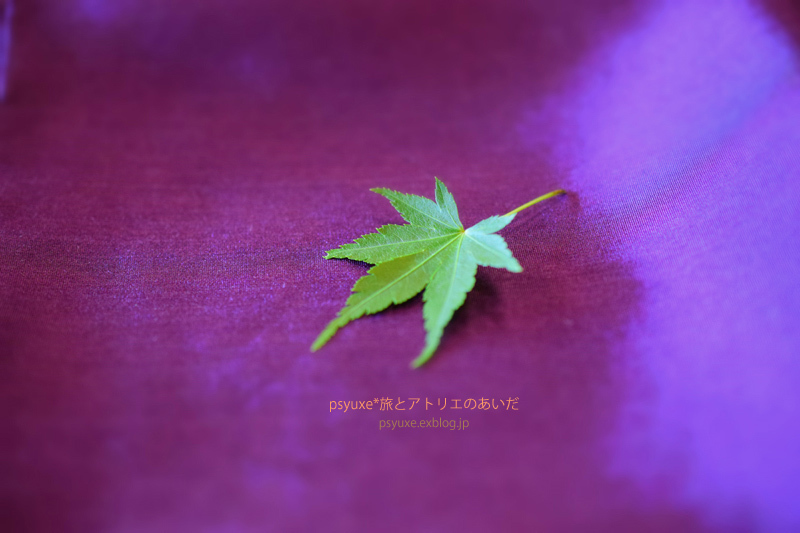 MOA美術館*尾形光琳《紅白梅図屏風》を観る_e0131432_22353347.jpg