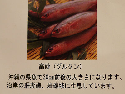 b0035734_20091665.jpg