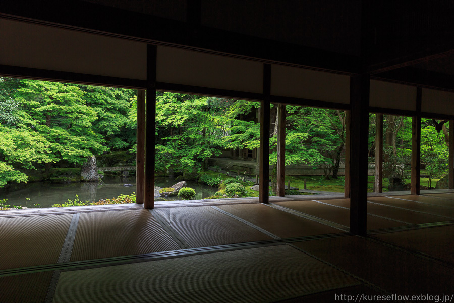 新緑の蓮華寺_b0325840_22322594.jpg