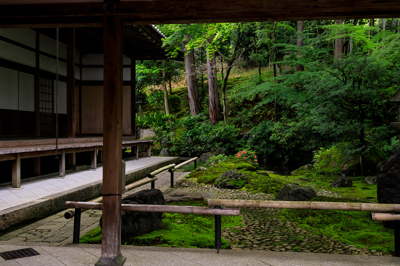 栄摂院・サツキの彩り_f0155048_19404780.jpg