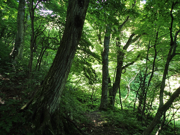 f0214649_05474861.jpg