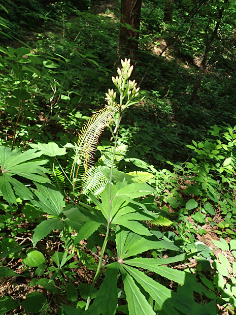 f0214649_05474918.jpg