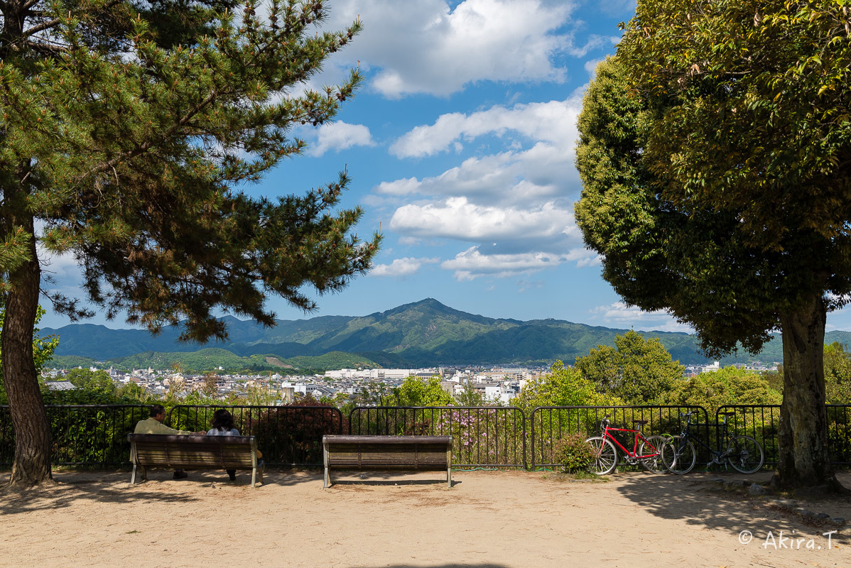 船岡山からの眺め..._f0152550_16403968.jpg