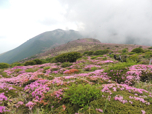 2017年６月１８日　ファミリー登山　扇ケ鼻_e0245655_17204027.jpg