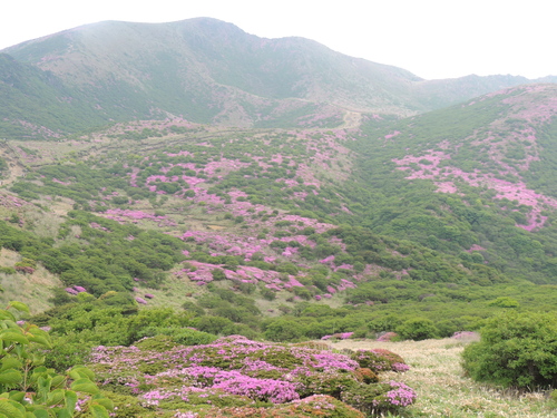 2017年６月１８日　ファミリー登山　扇ケ鼻_e0245655_17212185.jpg