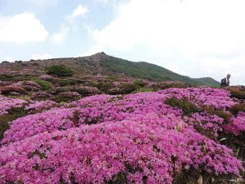 2017年６月１８日　ファミリー登山　扇ケ鼻_e0245655_1721429.jpg