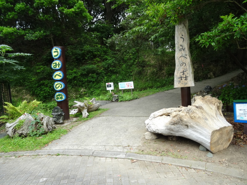 c0108460_21190998.jpg