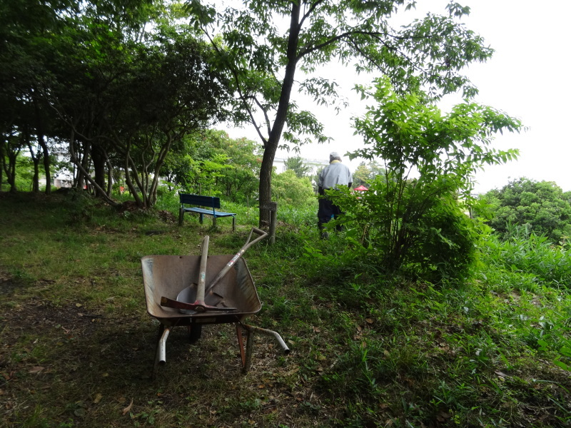 作業小屋の床張り＆自然観察指導員大阪連絡会来訪・・・うみべの森_c0108460_21200484.jpg