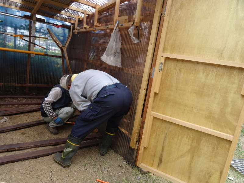 作業小屋の床張り＆自然観察指導員大阪連絡会来訪・・・うみべの森_c0108460_21231941.jpg