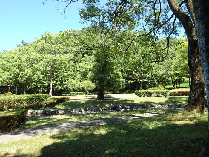 『木の実と花と呼吸根～(百年公園にて)』_d0054276_19381538.jpg