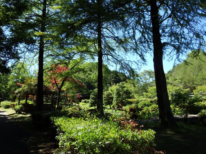 『木の実と花と呼吸根～(百年公園にて)』_d0054276_19443471.jpg