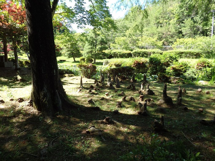 『木の実と花と呼吸根～(百年公園にて)』_d0054276_19471139.jpg