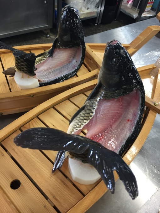 鯉の洗い 新柳ブログ