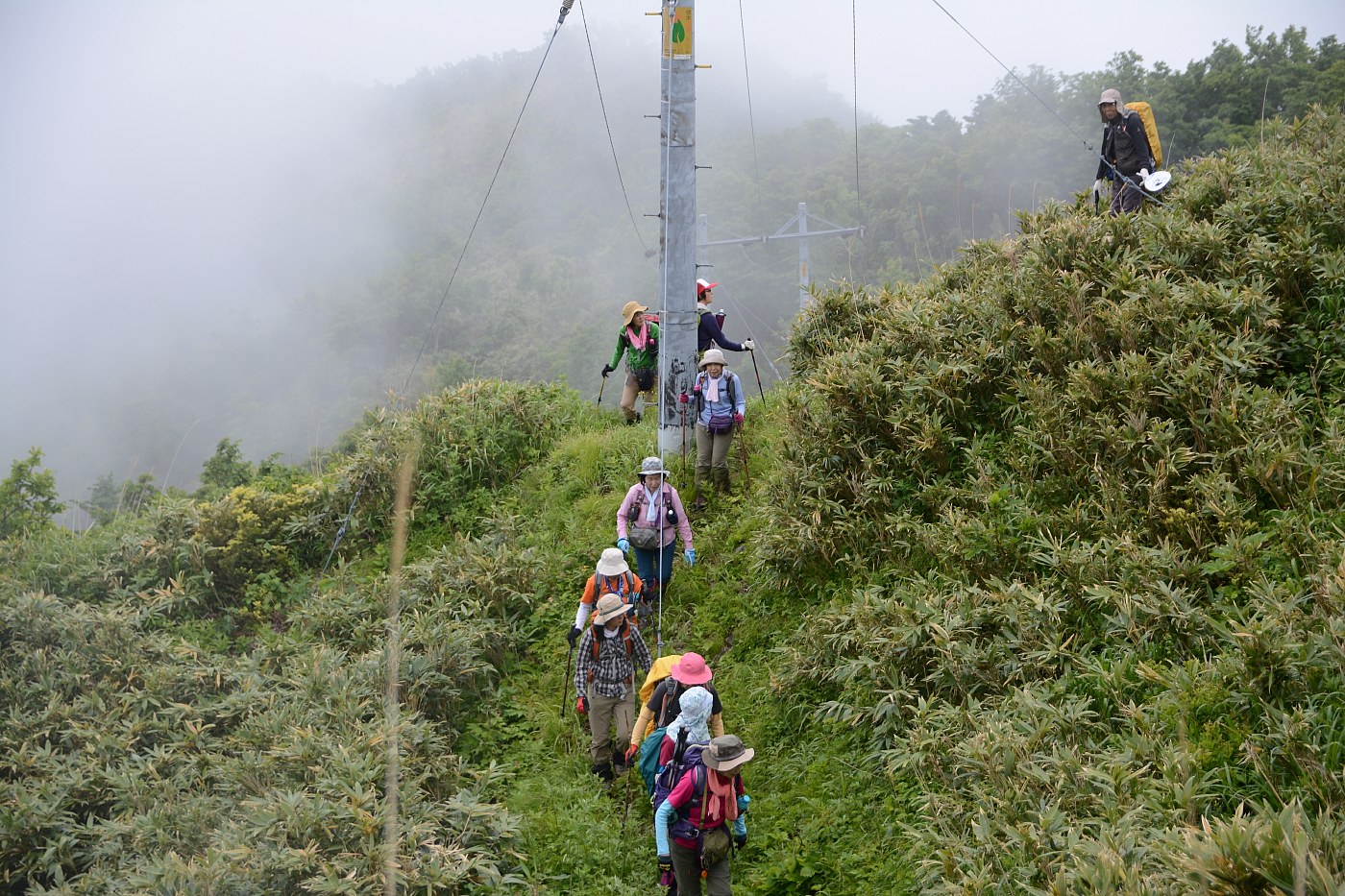 濃昼山道を行く★濃昼峠357m★2017.6.17_e0335379_10444534.jpg