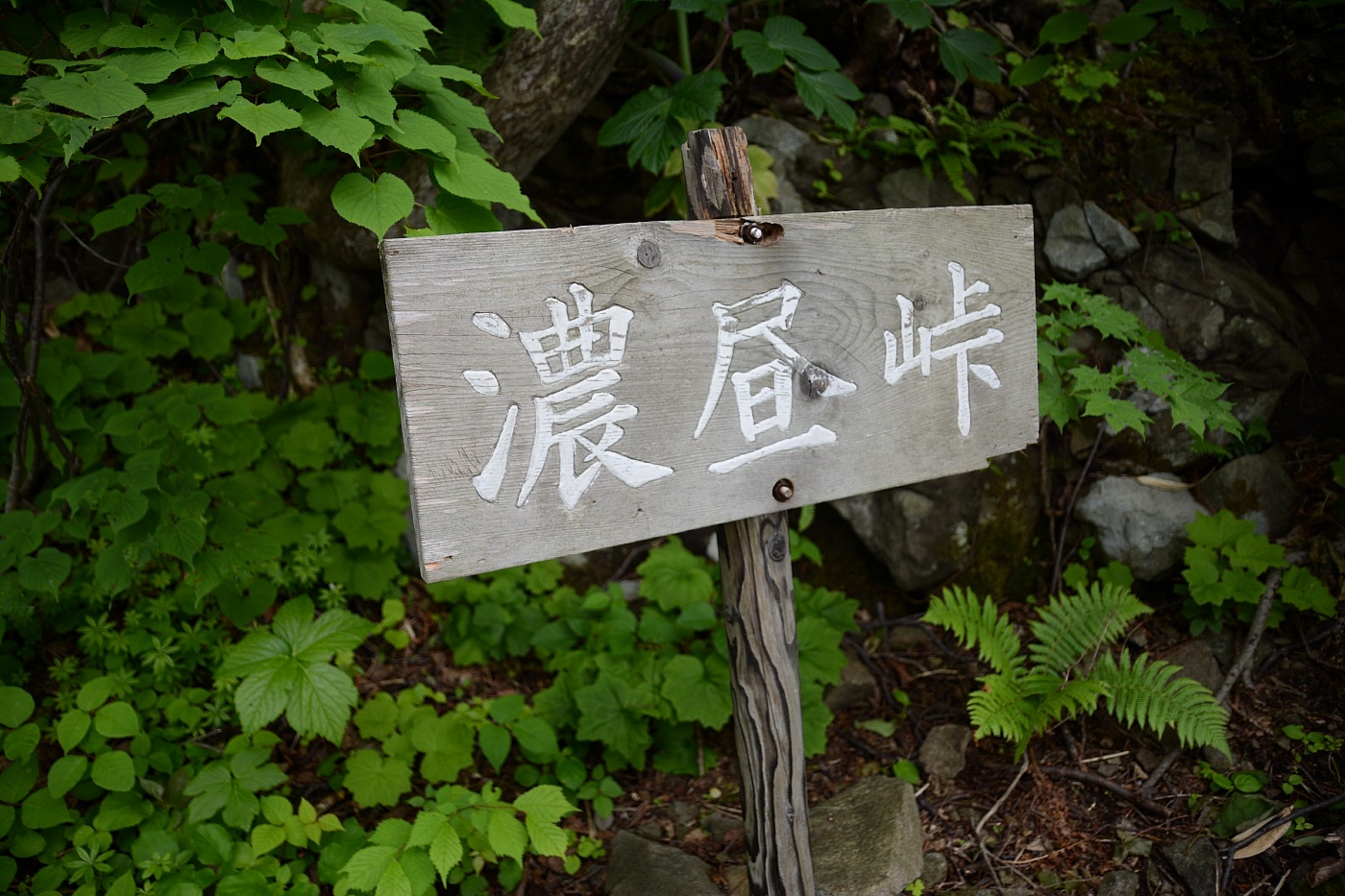 濃昼山道を行く★濃昼峠357m★2017.6.17_e0335379_10464694.jpg