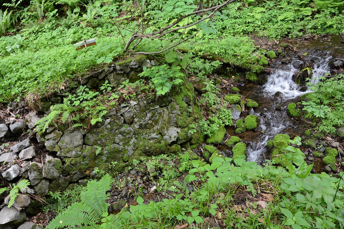e0335379_1111937.jpg