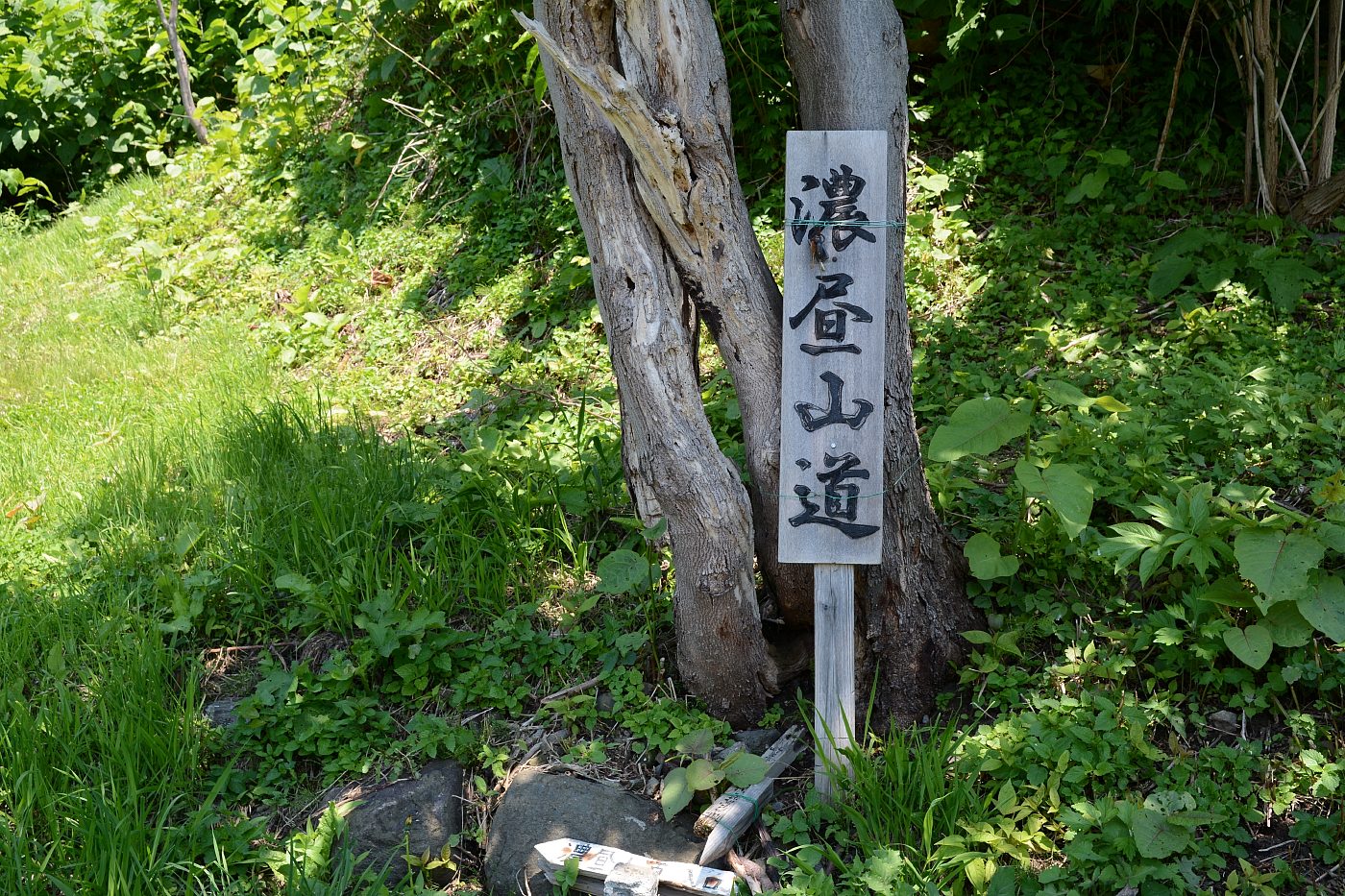 e0335379_1152458.jpg