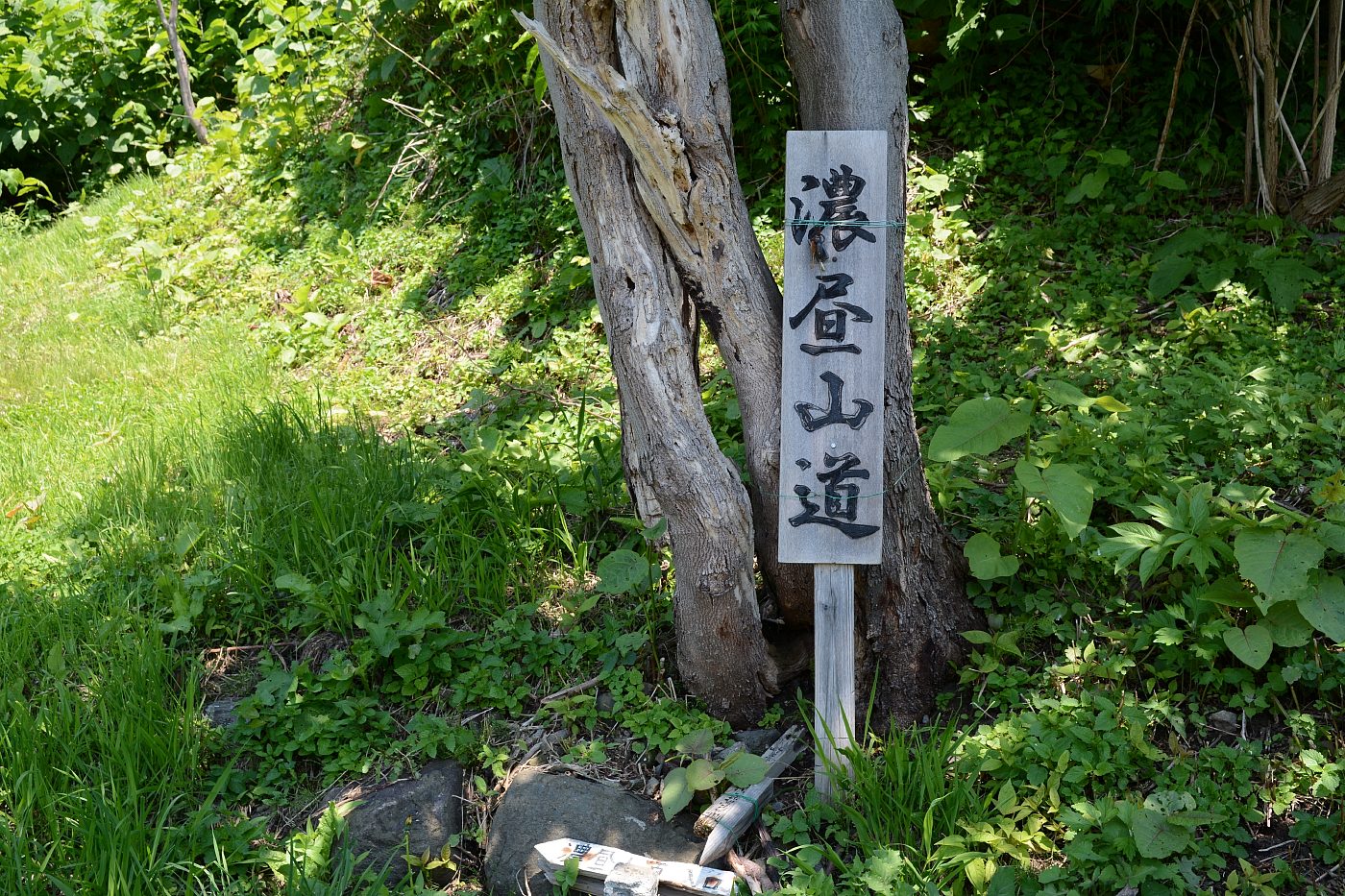 濃昼山道を行く★濃昼峠357m★2017.6.17_e0335379_1152458.jpg