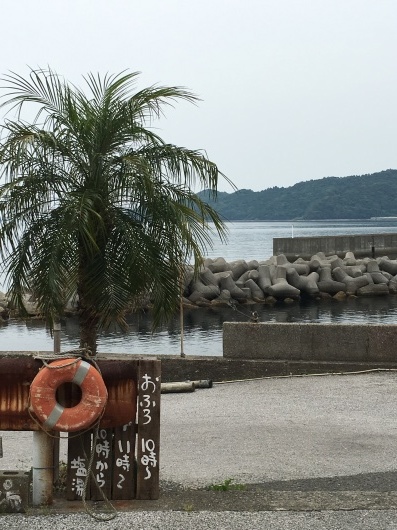 b0336787_21150798.jpeg