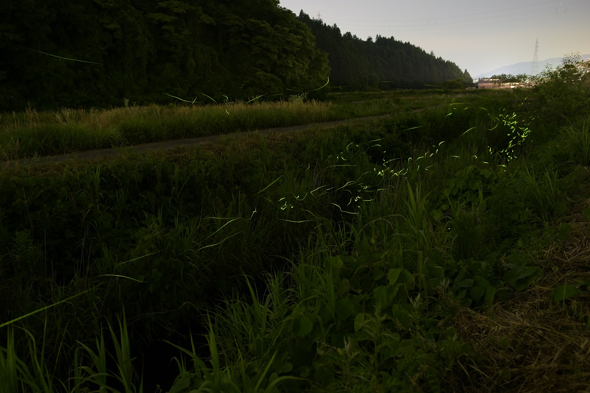 d0234293_8163820.jpg