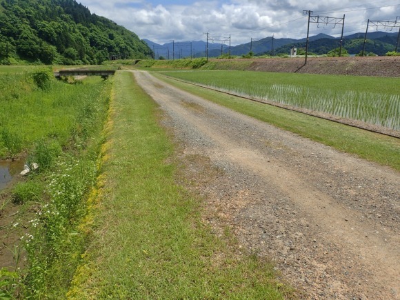 兼業農家の草刈り作業を実施_c0336902_19091222.jpg
