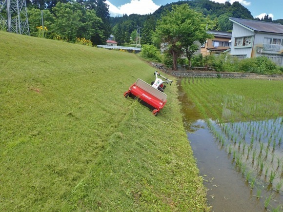 草刈りは趣味かな!_c0336902_19433296.jpg